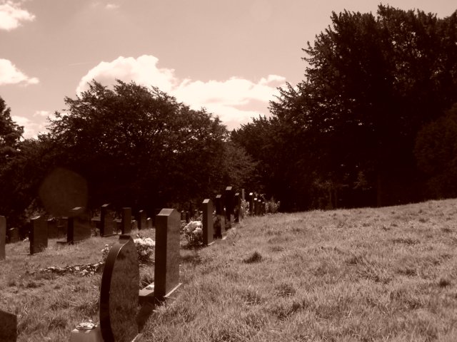 graveyard1.jpg